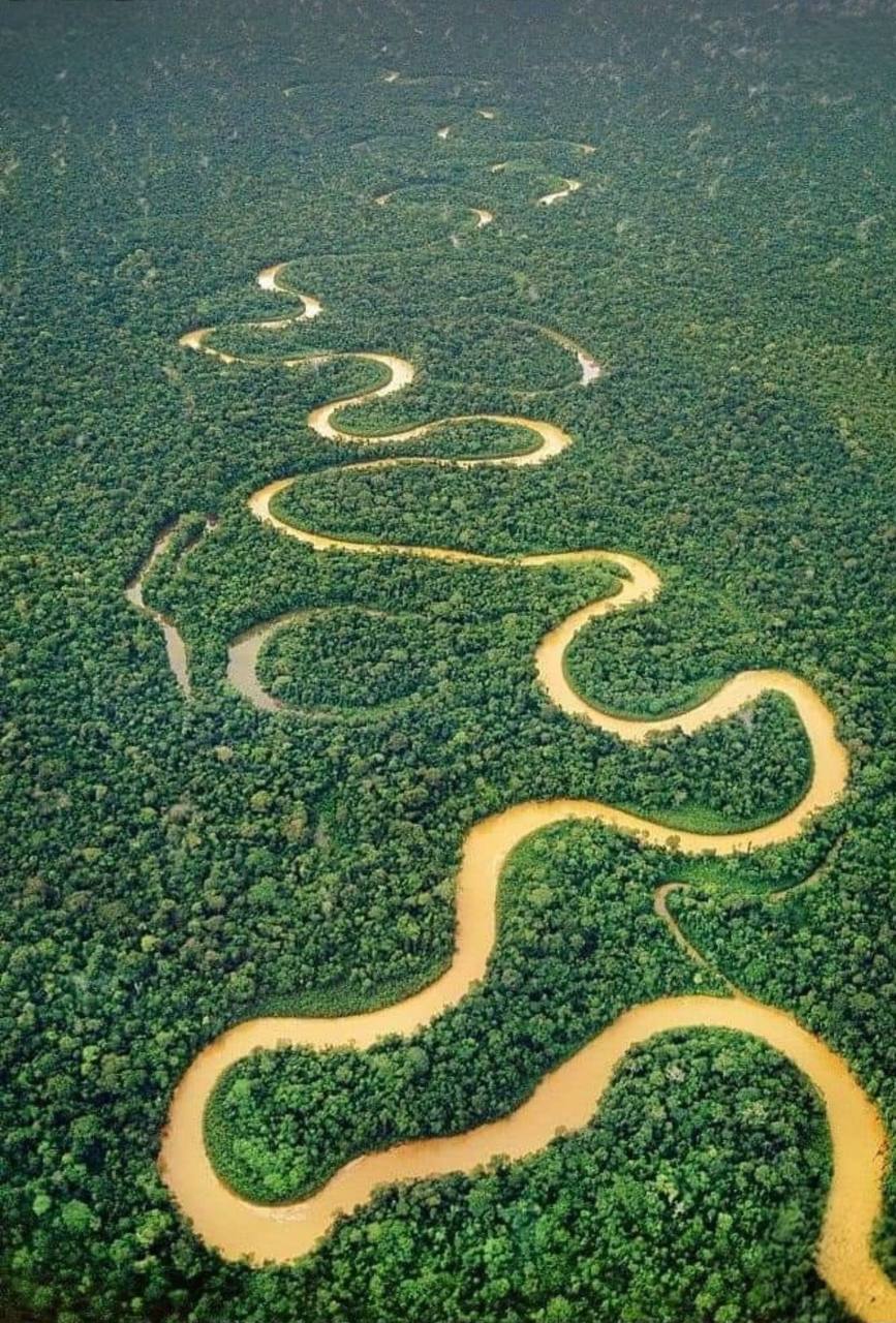 Sede Amazonas
